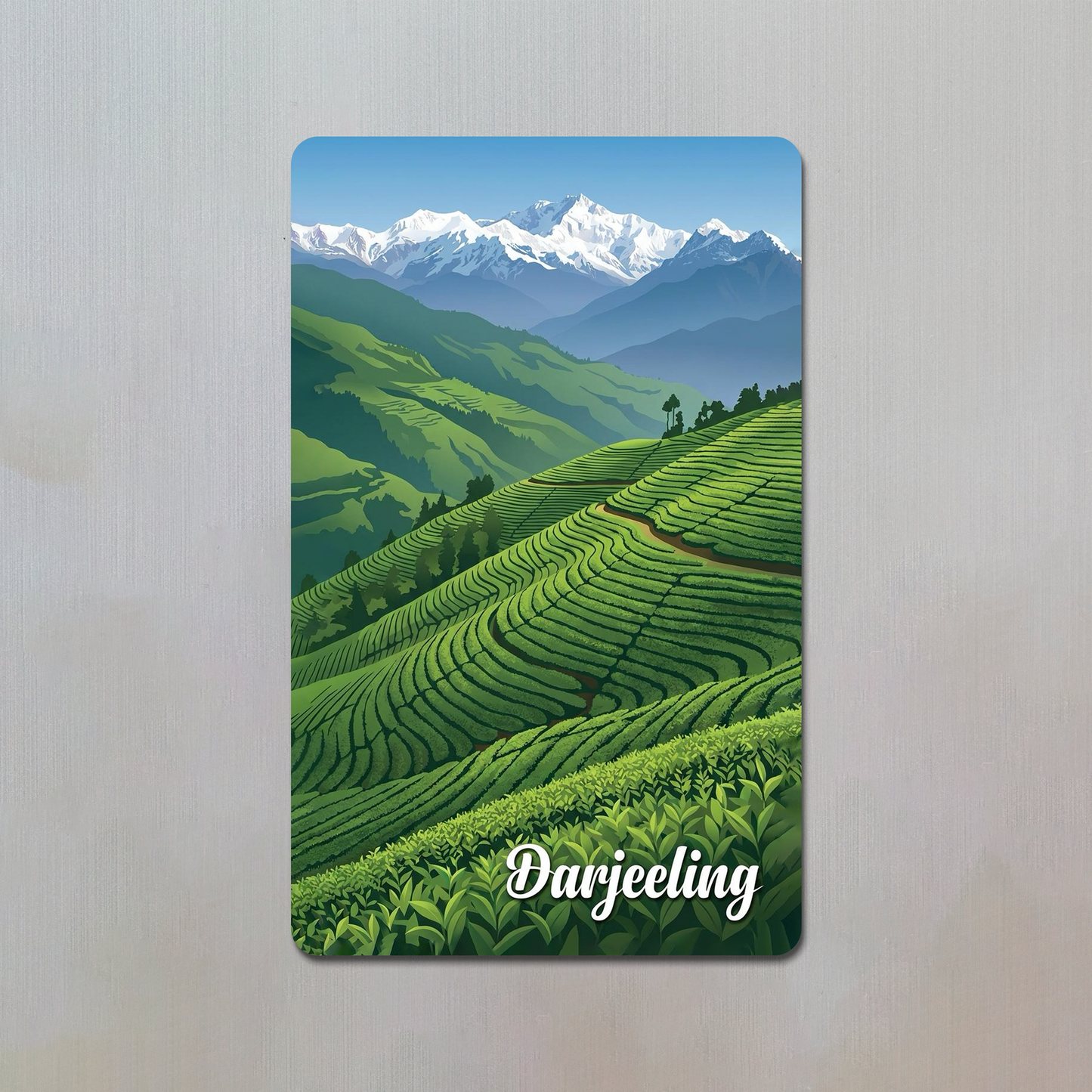 Darjeeling Fridge Magnet